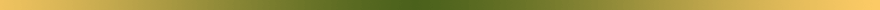green-gold separator bar